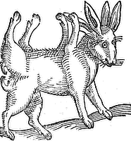 lepus